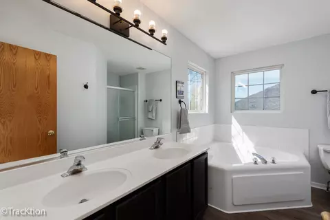 Bath - 1805 Ridge Moor Dr, Plainfield, IL 60586 photo 2 of 3
