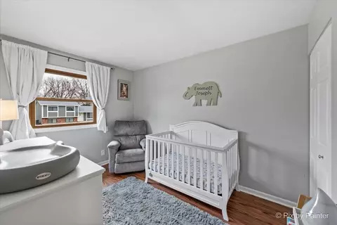 Bedroom - 113 Springleaf Dr, Bolingbrook, IL 60440 photo 3 of 4