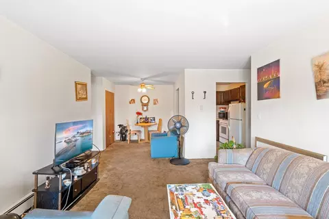 Living - 9 N S220 N Frontage Rd #104, Willowbrook, IL 60527 photo 4 of 4