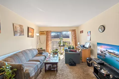 Living - 9 N S220 N Frontage Rd #104, Willowbrook, IL 60527 photo 3 of 4