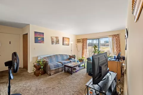 Living - 9 N S220 N Frontage Rd #104, Willowbrook, IL 60527 photo 2 of 4