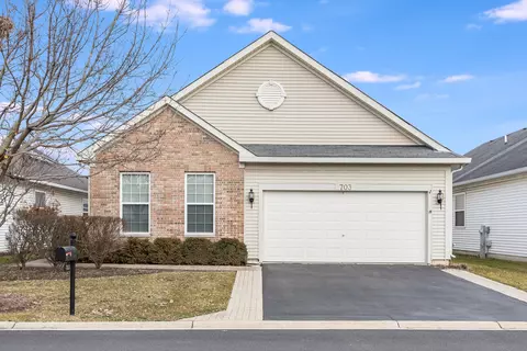 703 S Mecosta Ln, Romeoville, IL 60446