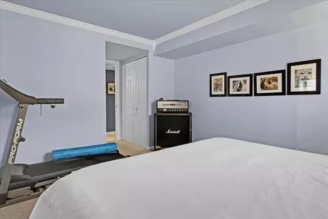 Bedroom - 415 Devon Ln, Bolingbrook, IL 60440 photo 5 of 9