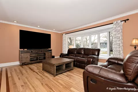 Living - 1715 N Beech Rd, Mount Prospect, IL 60056 photo 1 of 10