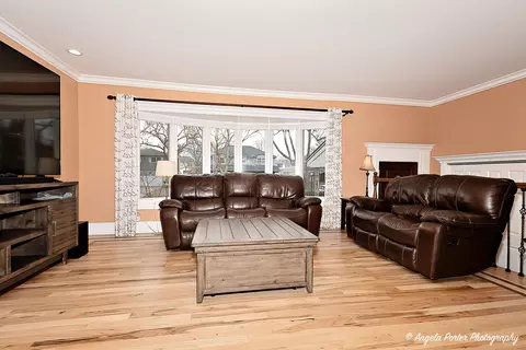 Living - 1715 N Beech Rd, Mount Prospect, IL 60056 photo 5 of 10