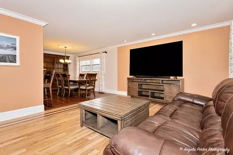 Living - 1715 N Beech Rd, Mount Prospect, IL 60056 photo 4 of 10