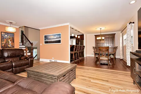Living - 1715 N Beech Rd, Mount Prospect, IL 60056 photo 3 of 10