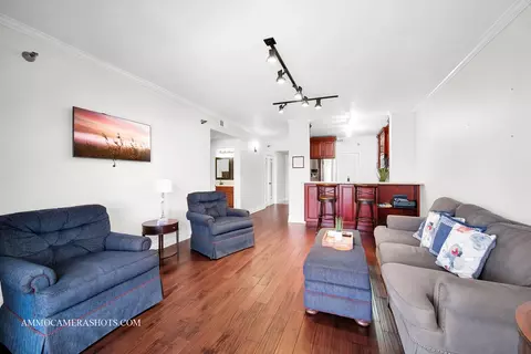 Living - 111 N Wheaton Ave #308, Wheaton, IL 60187 photo 3 of 3