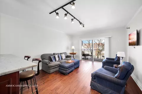 Living - 111 N Wheaton Ave #308, Wheaton, IL 60187 photo 1 of 3