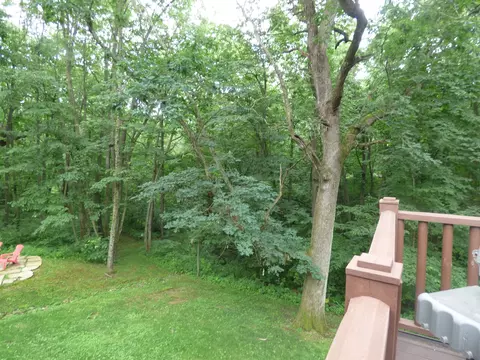 7 A32 Broken Lance Ln, Apple River, IL 61001 photo 42