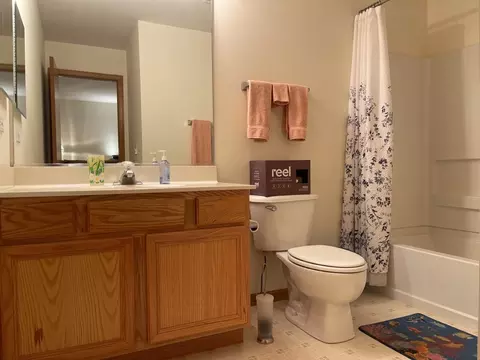 Bath - 715 Morris Ct #715, Lakemoor, IL 60051 photo 3 of 3