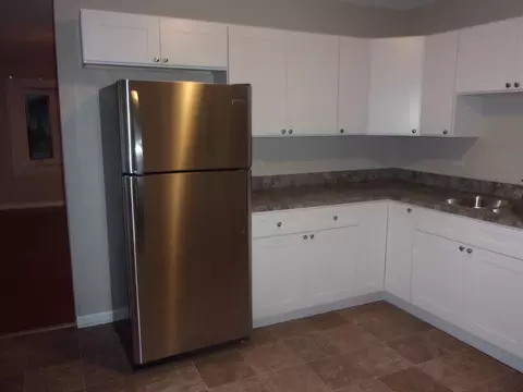 3500 Carpenter St, Steger, IL 60475 photo 2