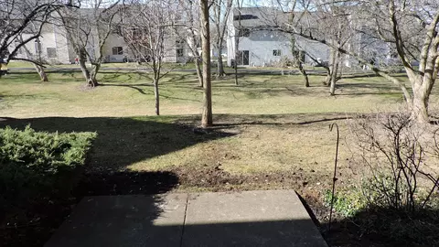 View/Area - 166 Heritage Ln #166, Streamwood, IL 60107 photo 1 of 1