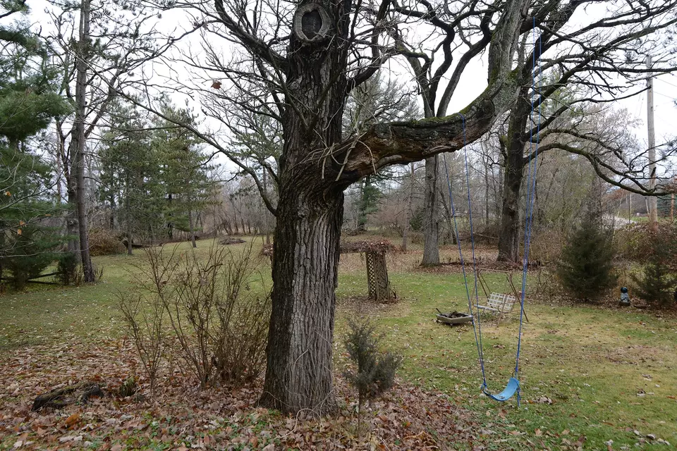 Exterior - 3604 Oak Knoll Rd, Crystal Lake, IL 60012 photo 10 of 24