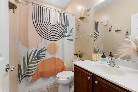 Bath - 342 E 25th Pl #22, Chicago, IL 60616 photo 4 of 5