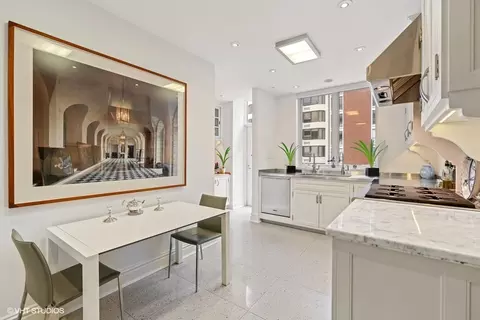 Kitchen - 230 E Delaware Pl #7W, Chicago, IL 60611 photo 3 of 3