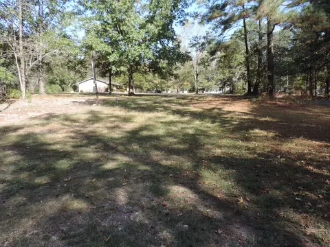 450 Niven Rd, Rison, AR 71665 photo 1