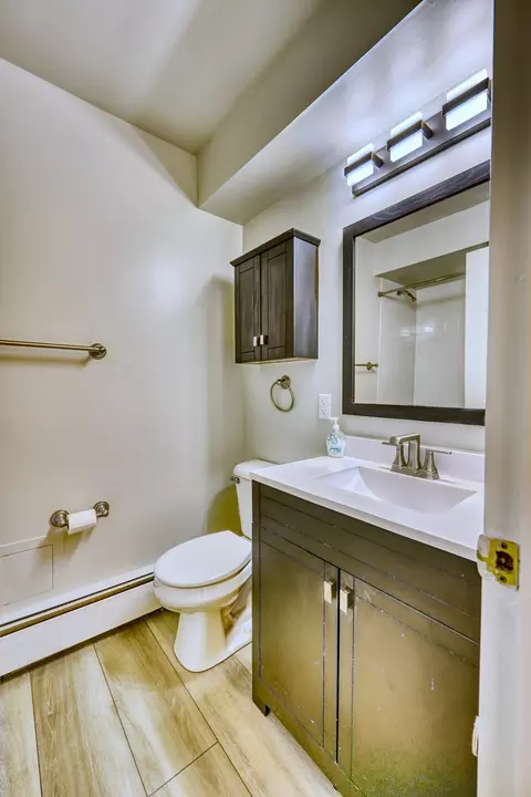 7952 Madison St #2W, River Forest, IL 60305 photo 9