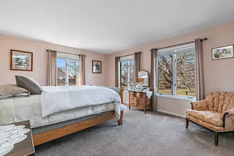 Bedroom - 201 Will Scarlett Ln, Elgin, IL 60120 photo 4 of 4