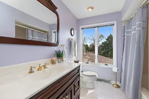 Bath - 201 Will Scarlett Ln, Elgin, IL 60120 photo 4 of 4