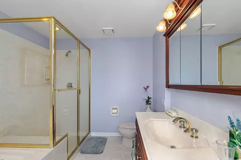 Bath - 201 Will Scarlett Ln, Elgin, IL 60120 photo 2 of 4