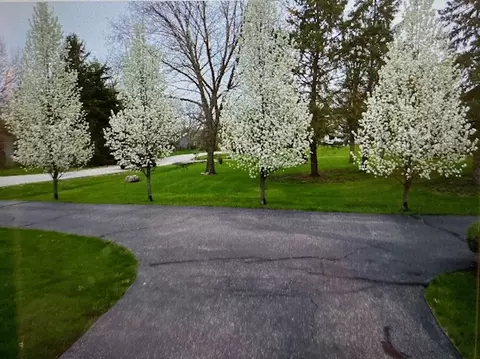 Other - 201 Will Scarlett Ln, Elgin, IL 60120 photo 8 of 8
