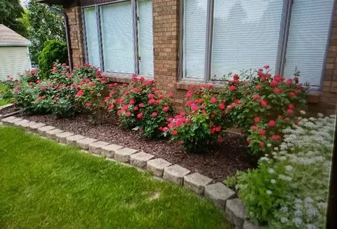 Exterior - 201 Will Scarlett Ln, Elgin, IL 60120 photo 13 of 14