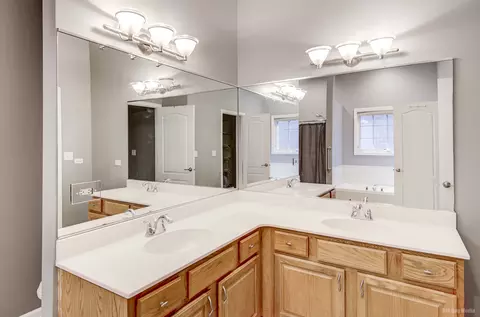 Bath - 505 Highlington Ct, Beecher, IL 60401 photo 3 of 6