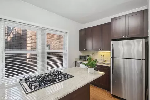 538 W Brompton Ave #2W, Chicago, IL 60657 photo 5