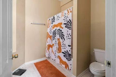 Bath - 735 E 50th St #3, Chicago, IL 60615 photo 3 of 6