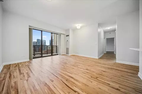 Other - 41 E 8th St #1606, Chicago, IL 60605 photo 3 of 7