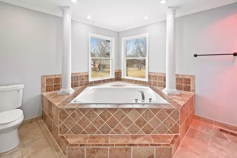 Bath - 4632 W Offner Rd, Monee, IL 60449 photo 5 of 8