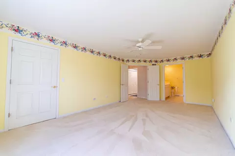 Other - 21603 W Larch Dr, Plainfield, IL 60544 photo 11 of 50