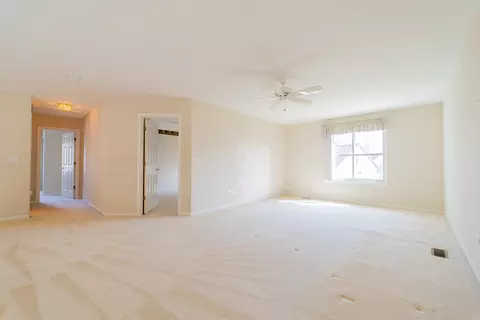 Other - 21603 W Larch Dr, Plainfield, IL 60544 photo 17 of 50