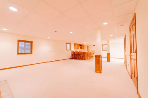 Other - 21603 W Larch Dr, Plainfield, IL 60544 photo 30 of 50