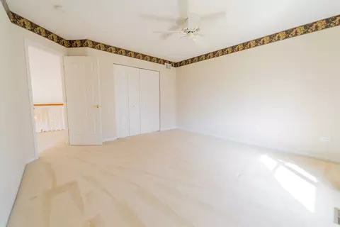 Other - 21603 W Larch Dr, Plainfield, IL 60544 photo 22 of 50