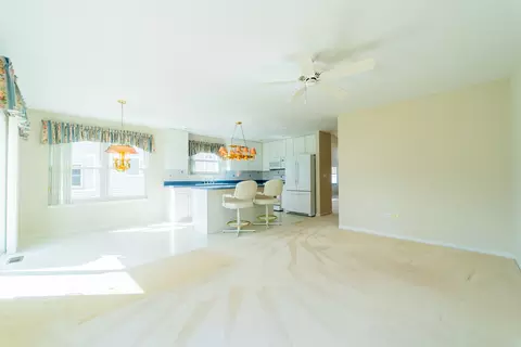 Other - 21603 W Larch Dr, Plainfield, IL 60544 photo 8 of 50