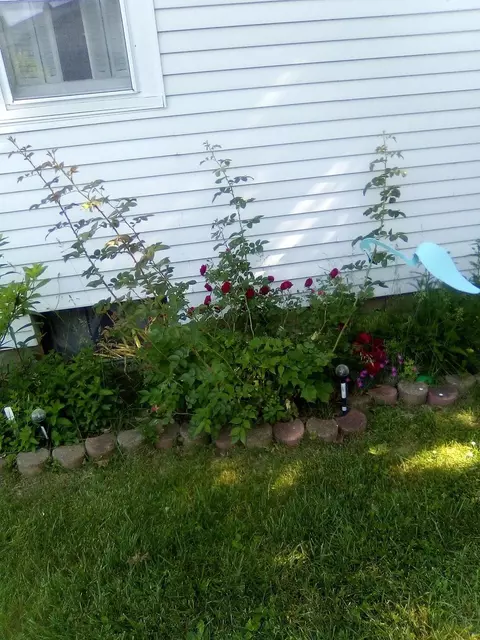 Exterior - 307 Exchange St, Danvers, IL 61732 photo 7 of 13