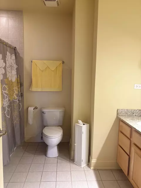 Bath - 3909 Shakespeare Ave, Lyons, IL 60534 photo 6 of 11