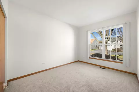 13725 S Redbud Dr, Plainfield, IL 60544 photo 11