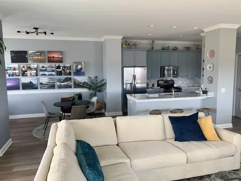 Living - 115 Prairie Park Dr #504, Wheeling, IL 60090 photo 6 of 11