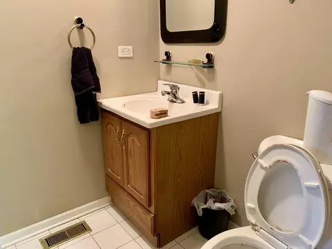 Bath - 316 81st St, Burr Ridge, IL 60527 photo 5 of 6