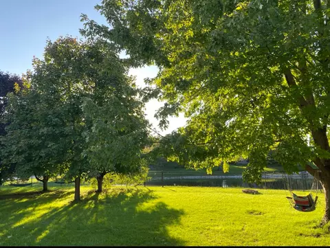 24937 Mathews Ct, Plainfield, IL 60585 photo 29