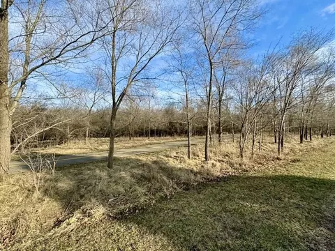 Exterior - 4408 Oak Ave, Lyons, IL 60534 photo 5 of 6