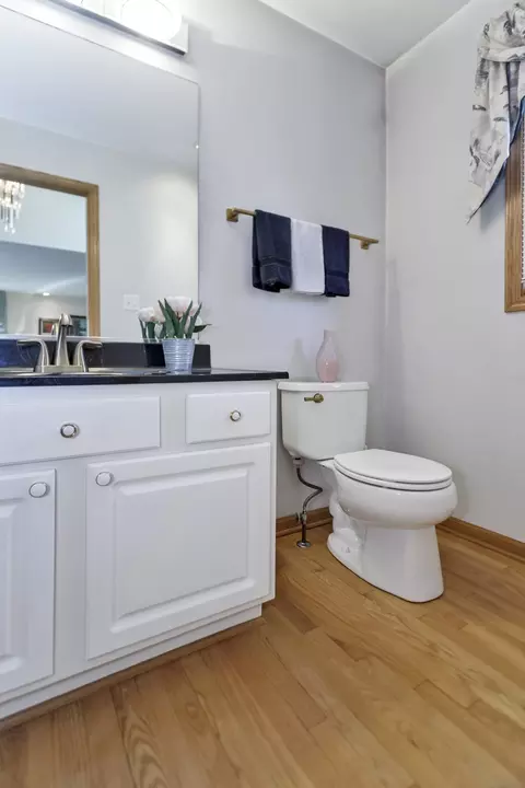 Bath - 1535 Creekside Dr, Hoffman Estates, IL 60169 photo 1 of 8