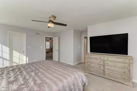 Bedroom - 13518 Arborview Cir, Plainfield, IL 60585 photo 3 of 8