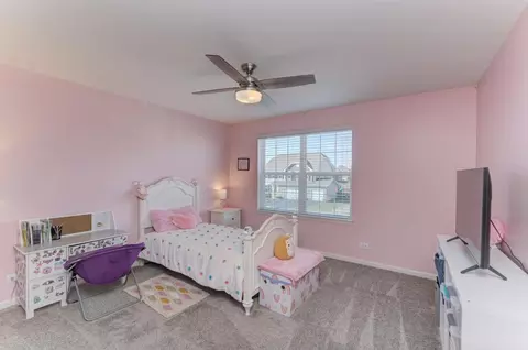 Bedroom - 13518 Arborview Cir, Plainfield, IL 60585 photo 4 of 8