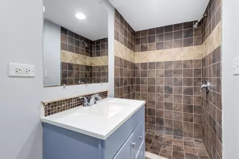 Bath - 3918 S Langley Ave, Chicago, IL 60653 photo 4 of 4