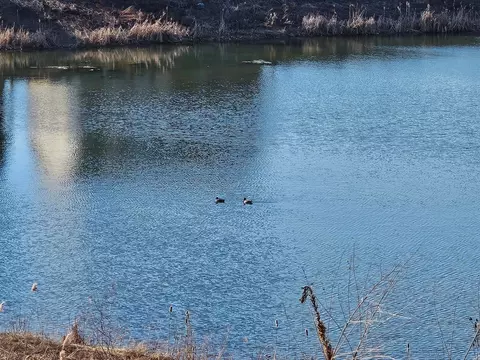 View/Area - 2251 Indigo Dr, Algonquin, IL 60102 photo 5 of 9