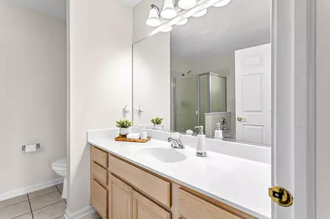 Bath - 21340 W Sycamore Dr, Plainfield, IL 60544 photo 1 of 3